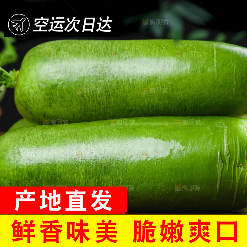 深底上的沙窝萝卜
