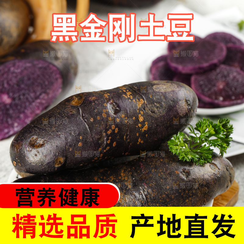 浅底上的紫土豆