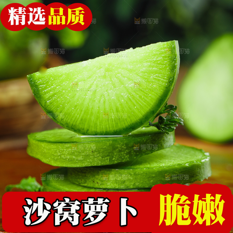 深底上的沙窝萝卜