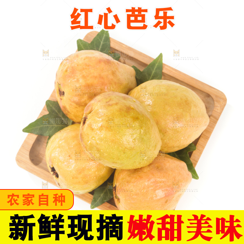 白底上的红心芭乐