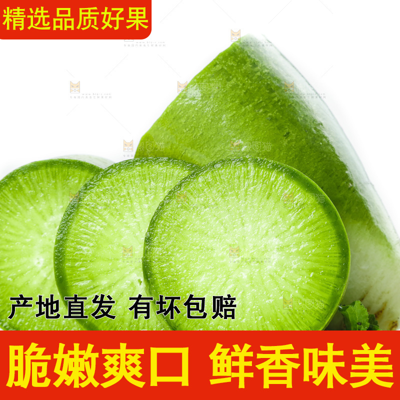 白底上的沙窝萝卜