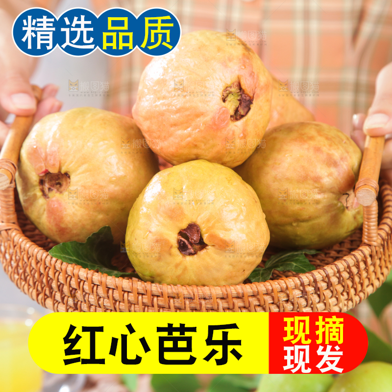 浅底上的红心芭乐