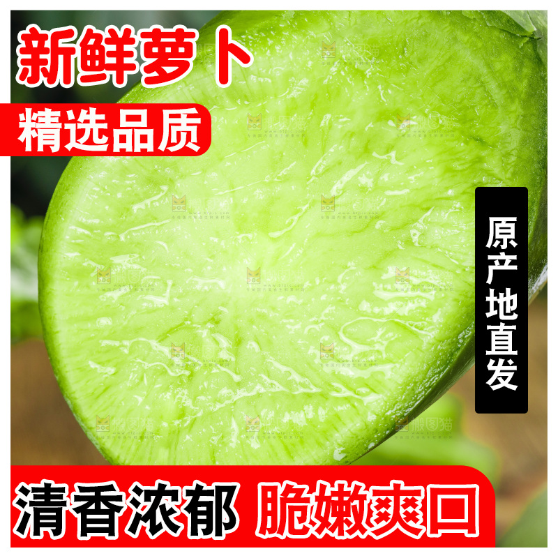 深底上的沙窝萝卜