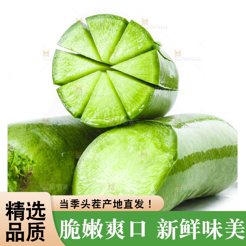 白底上的沙窝萝卜