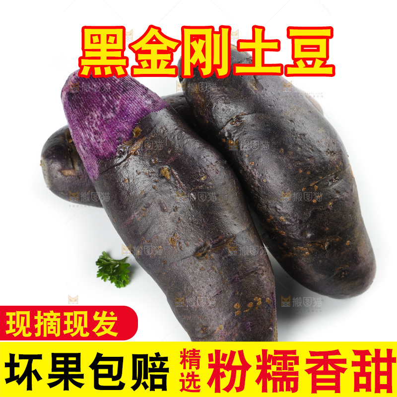 白底上的紫土豆