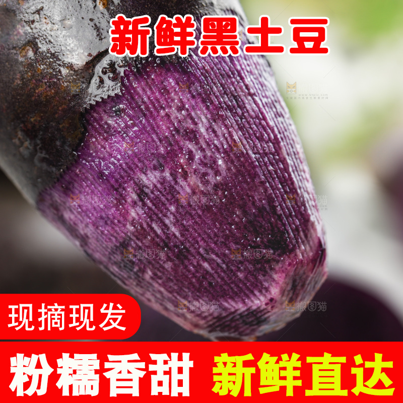 浅底上的紫土豆