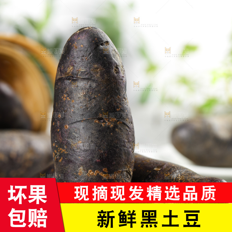 浅底上的紫土豆