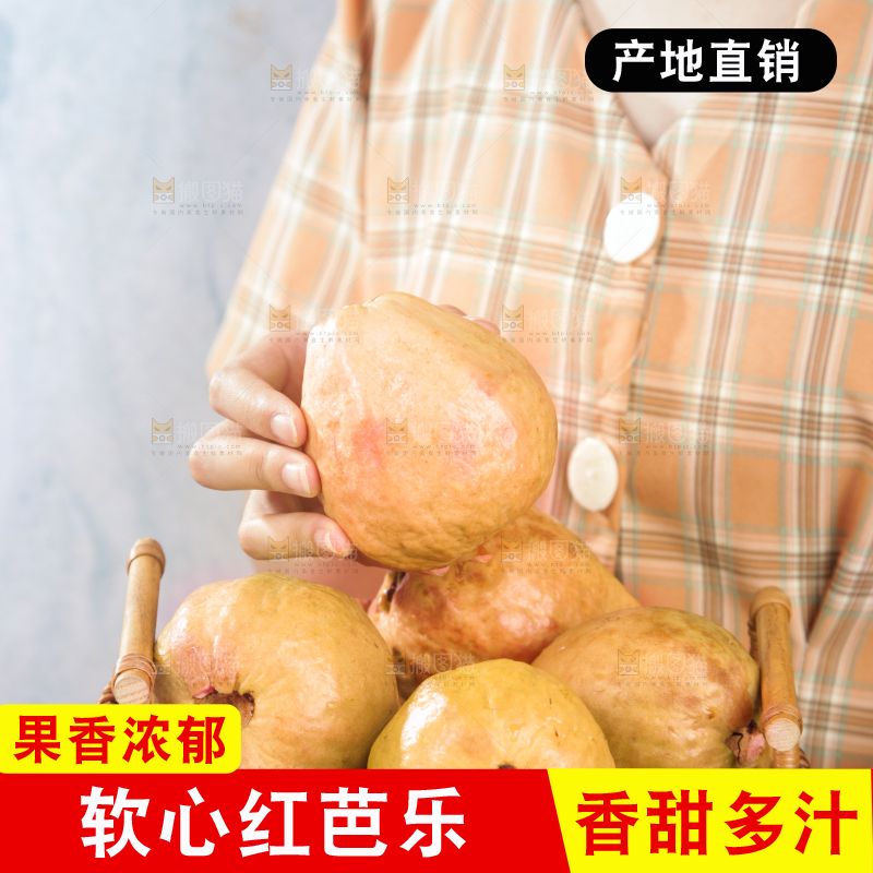 浅底上的红心芭乐