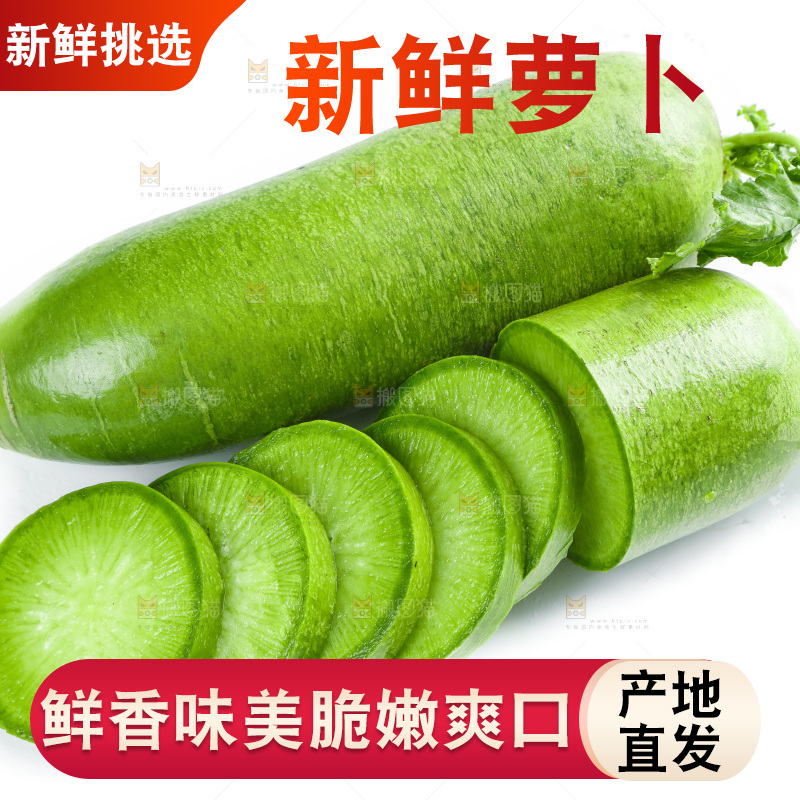 白底上的沙窝萝卜