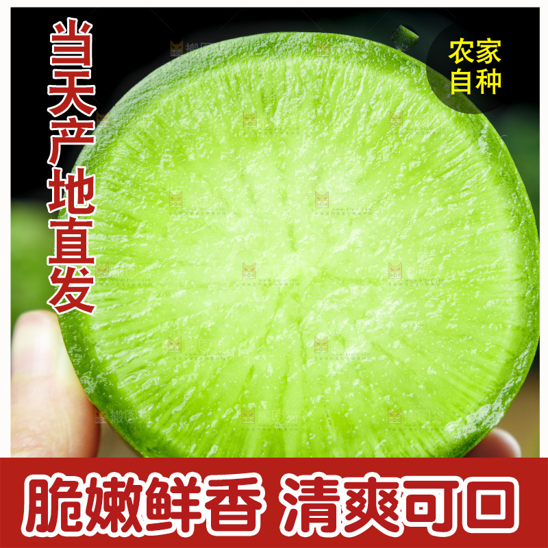 深底上的沙窝萝卜