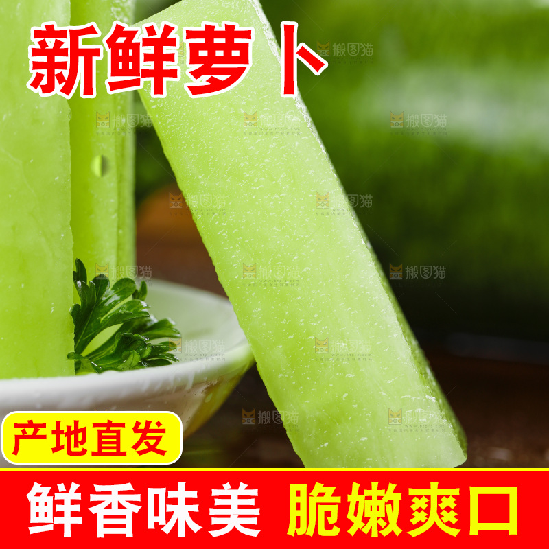 深底上的沙窝萝卜