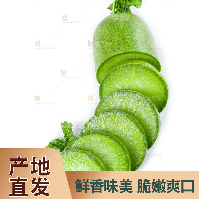 白底上的沙窝萝卜