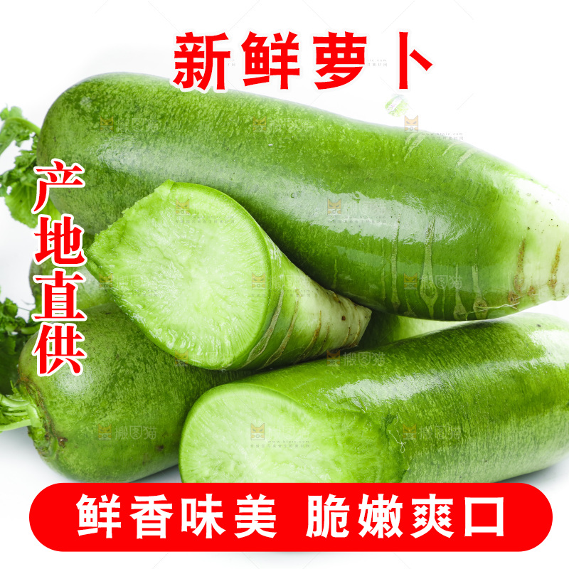 白底上的沙窝萝卜