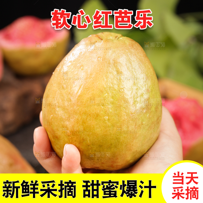 深底上的红心芭乐