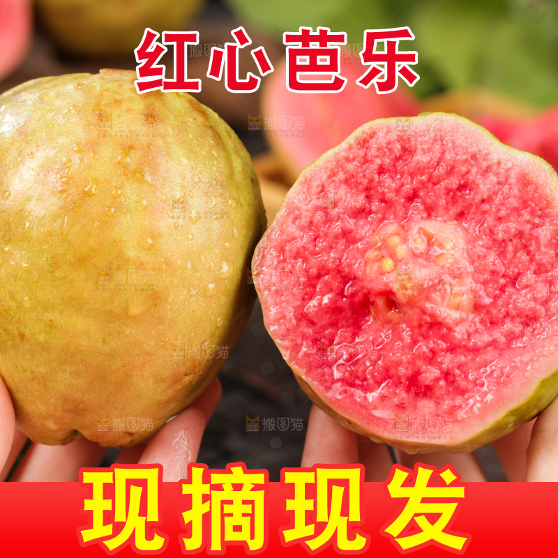 深底上的红心芭乐