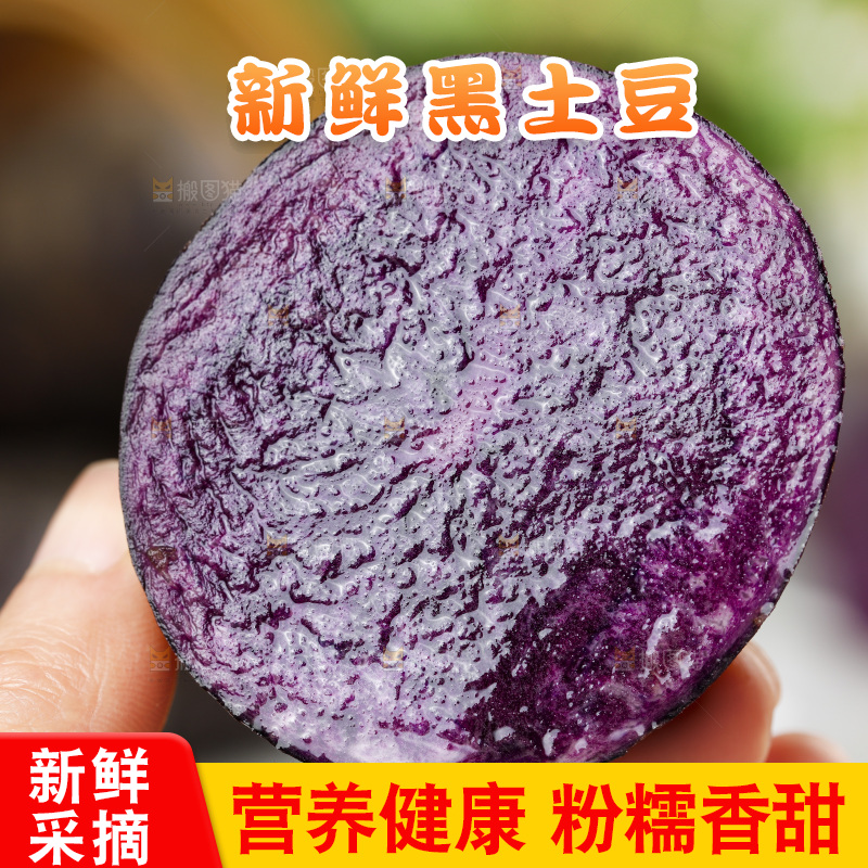 浅底上的紫土豆