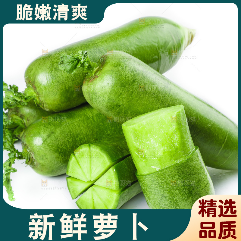 白底上的沙窝萝卜
