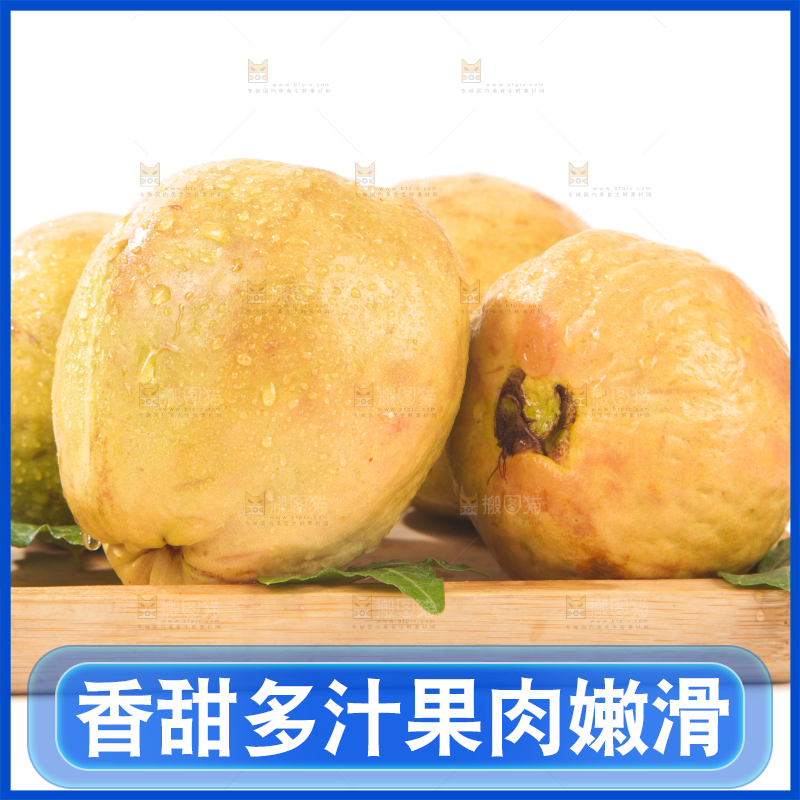 白底上的红心芭乐