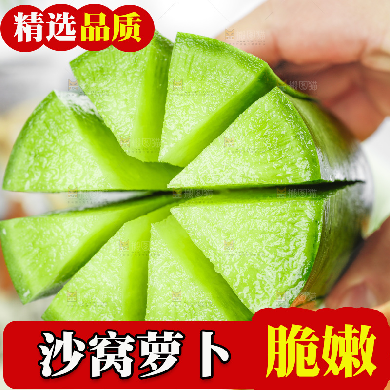 浅底上的沙窝萝卜