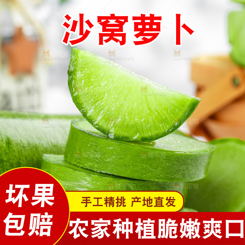 浅底上的沙窝萝卜