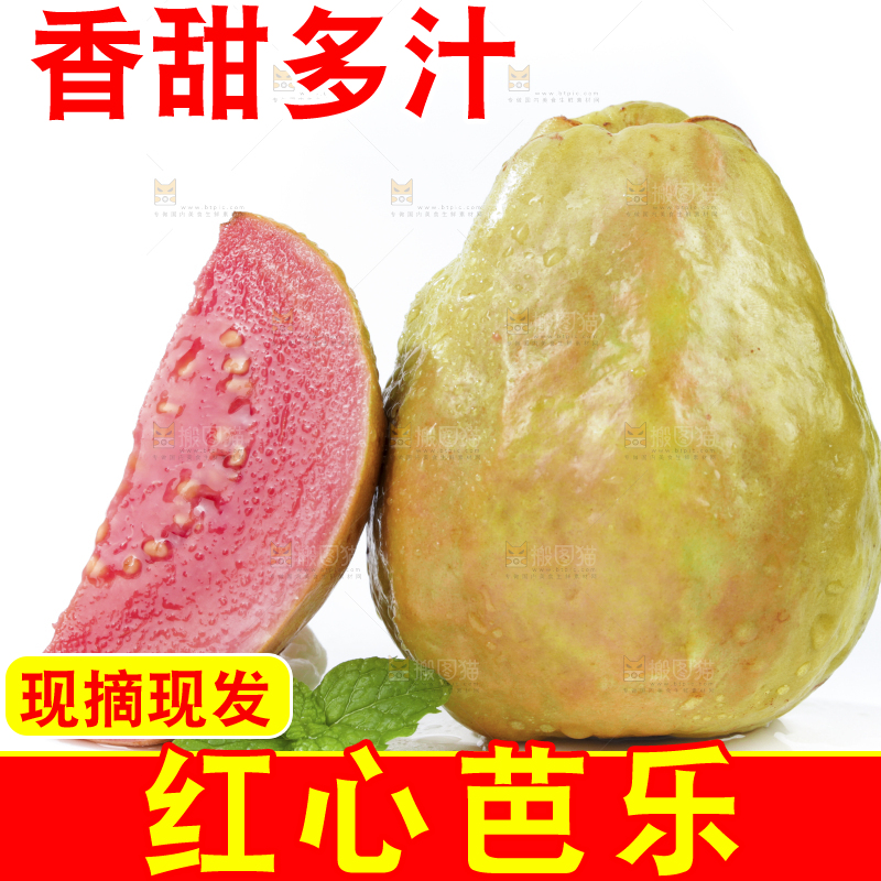 白底上的红心芭乐