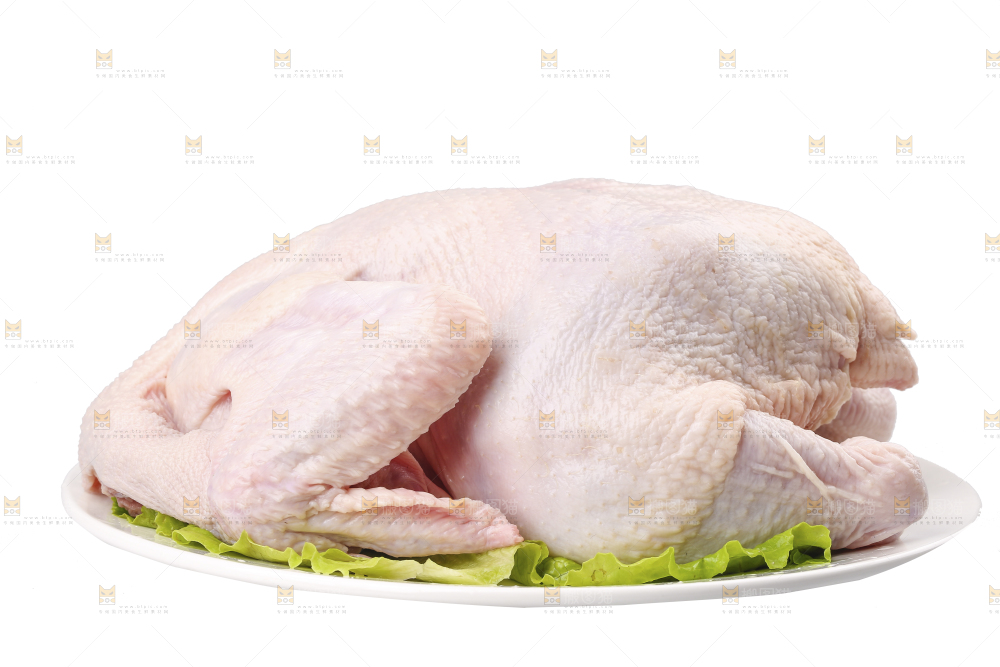 白底上的生鲜鸡肉
