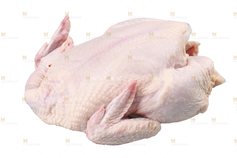 白底上的生鲜鸡肉