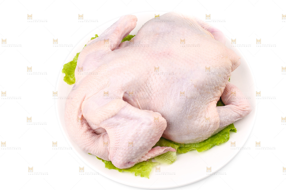 白底上的生鲜鸡肉