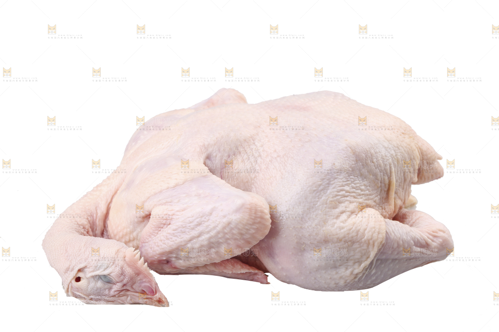 白底上的生鲜鸡肉