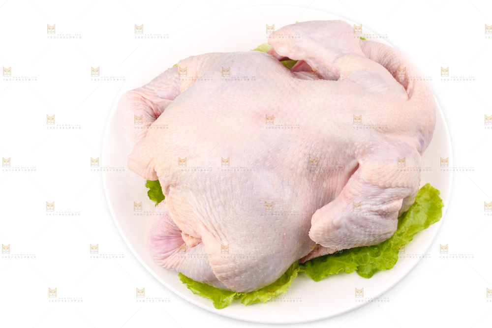 白底上的生鲜鸡肉
