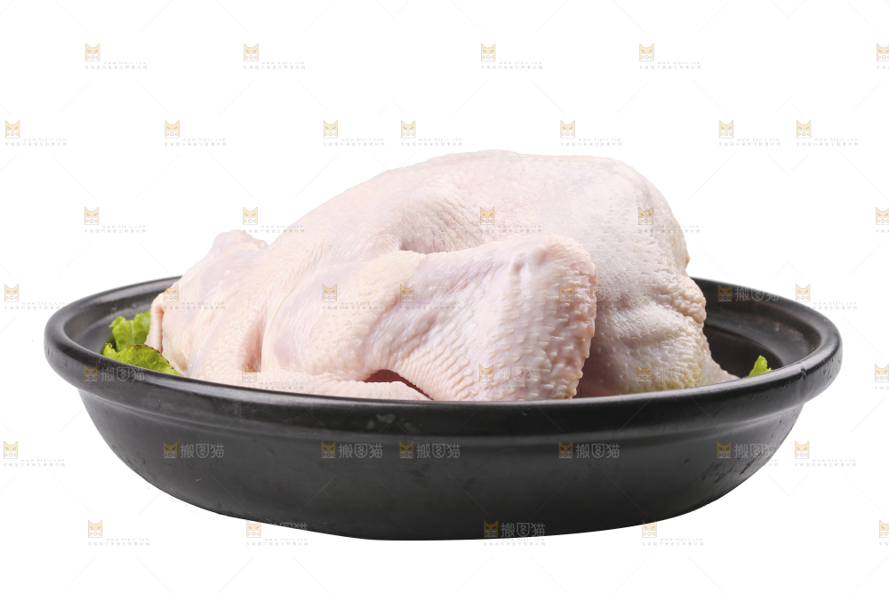 白底上的生鲜鸡肉