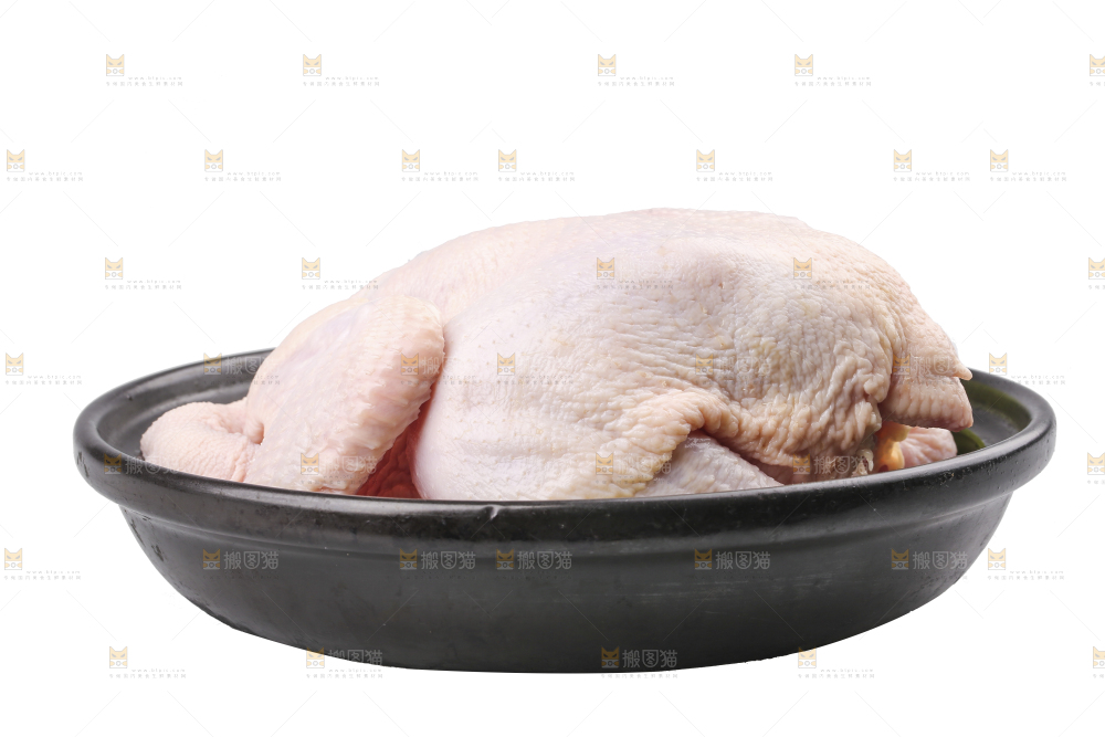 白底上的生鲜鸡肉