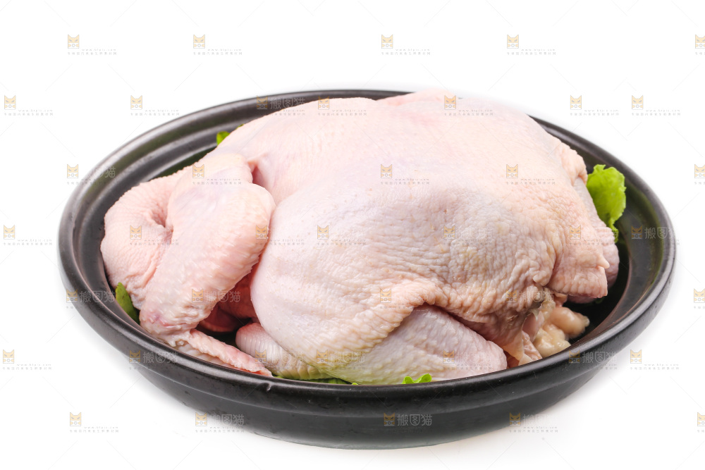 白底上的生鲜鸡肉