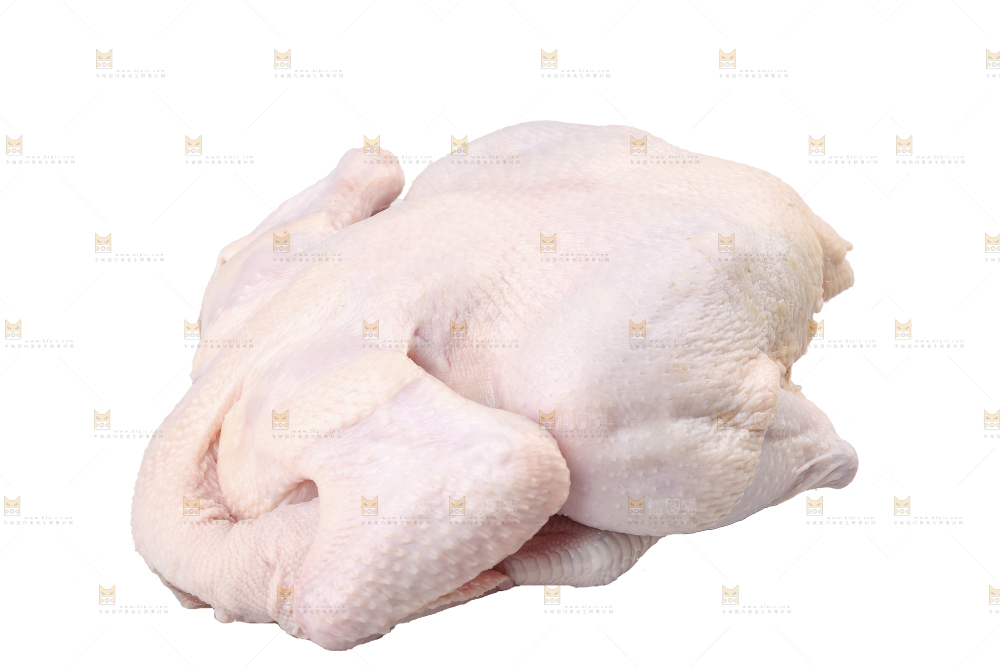 白底上的生鲜鸡肉