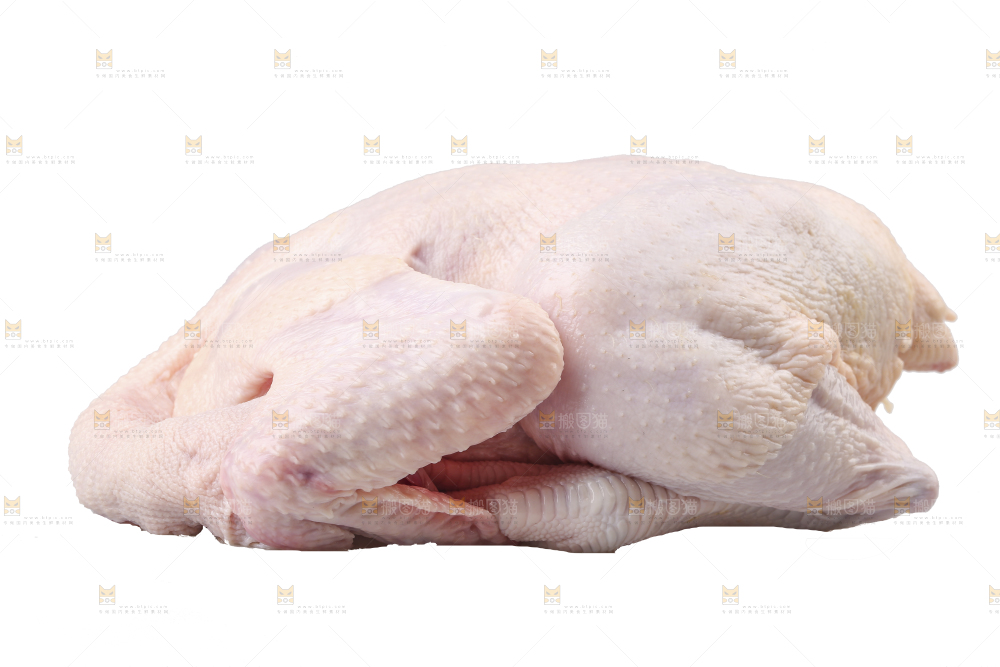 白底上的生鲜鸡肉