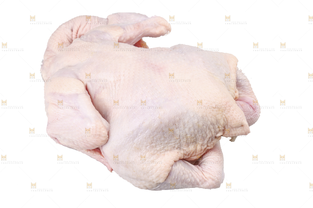 白底上的生鲜鸡肉