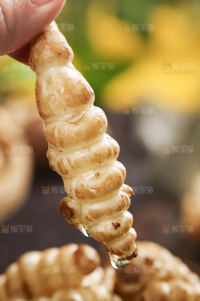 深底上的宝塔菜