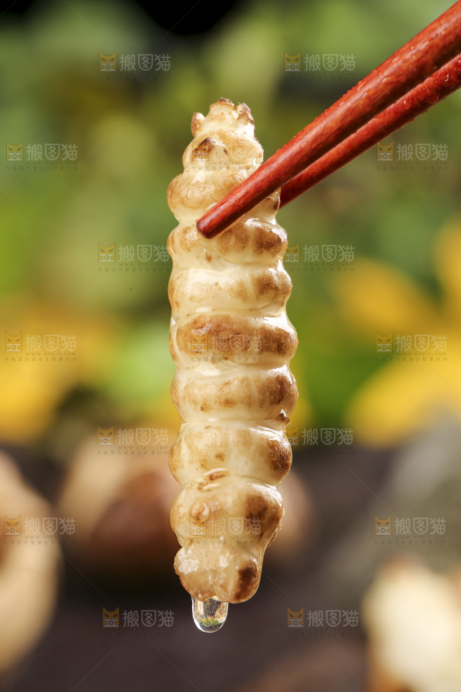 深底上的宝塔菜