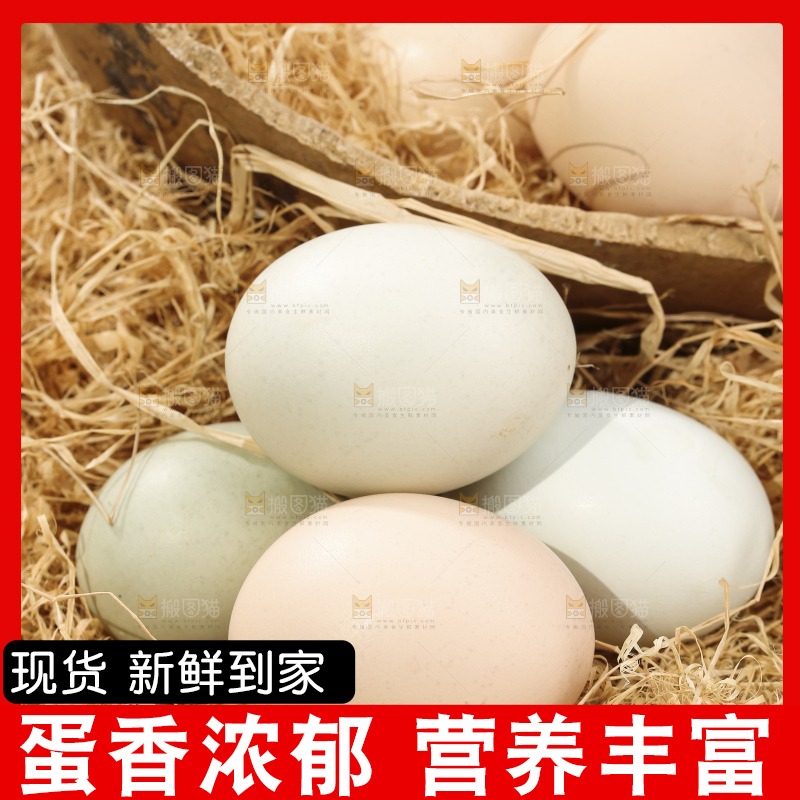 木底上的土鸡蛋