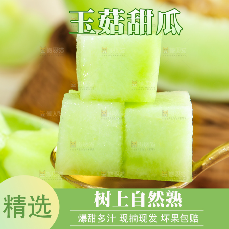 浅底上的玉菇甜瓜