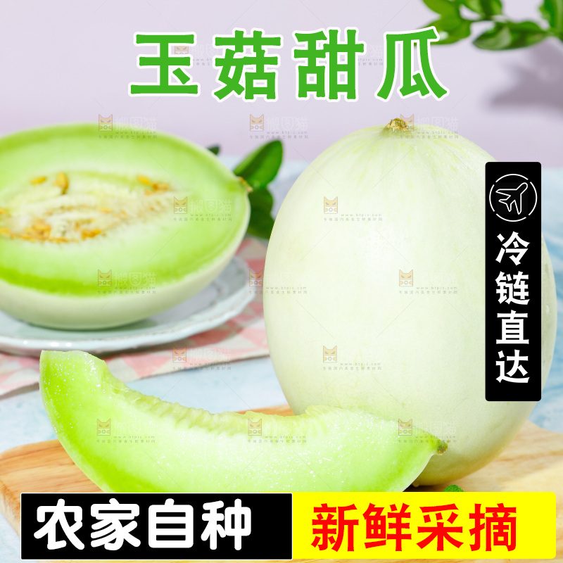 浅底上的玉菇甜瓜