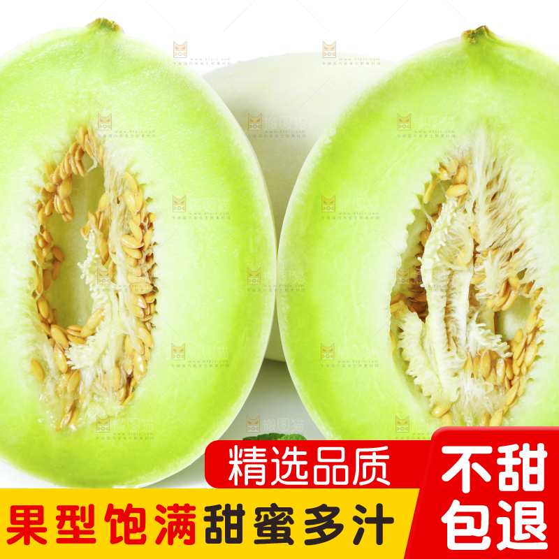 白底上的玉菇甜瓜