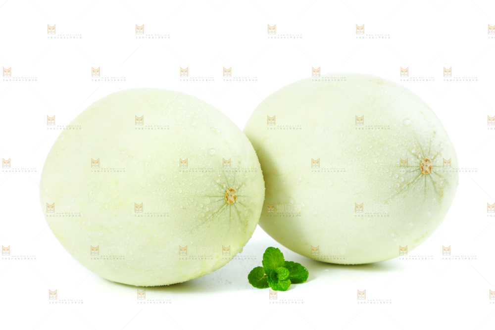 白底上的玉菇甜瓜