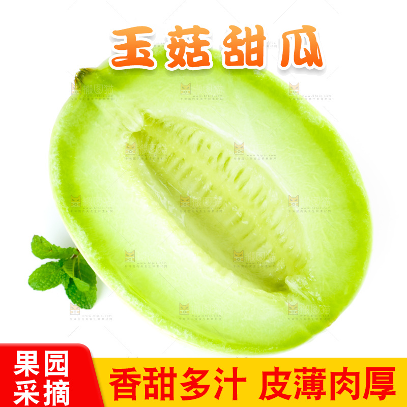 白底上的玉菇甜瓜