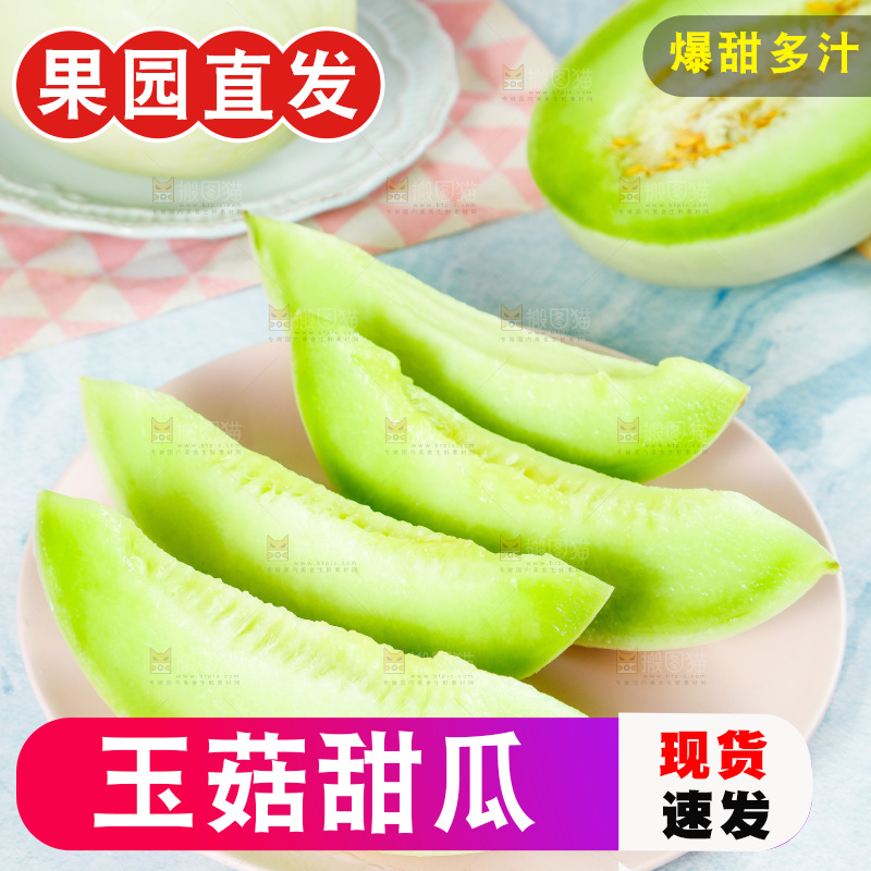 浅底上的玉菇甜瓜