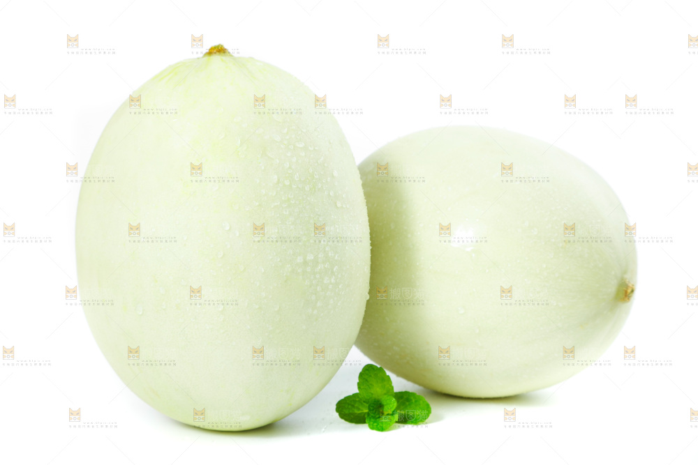 白底上的玉菇甜瓜