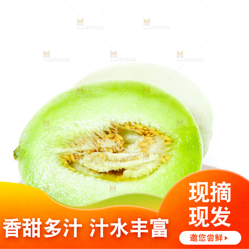 白底上的玉菇甜瓜