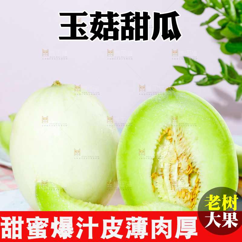 浅底上的玉菇甜瓜