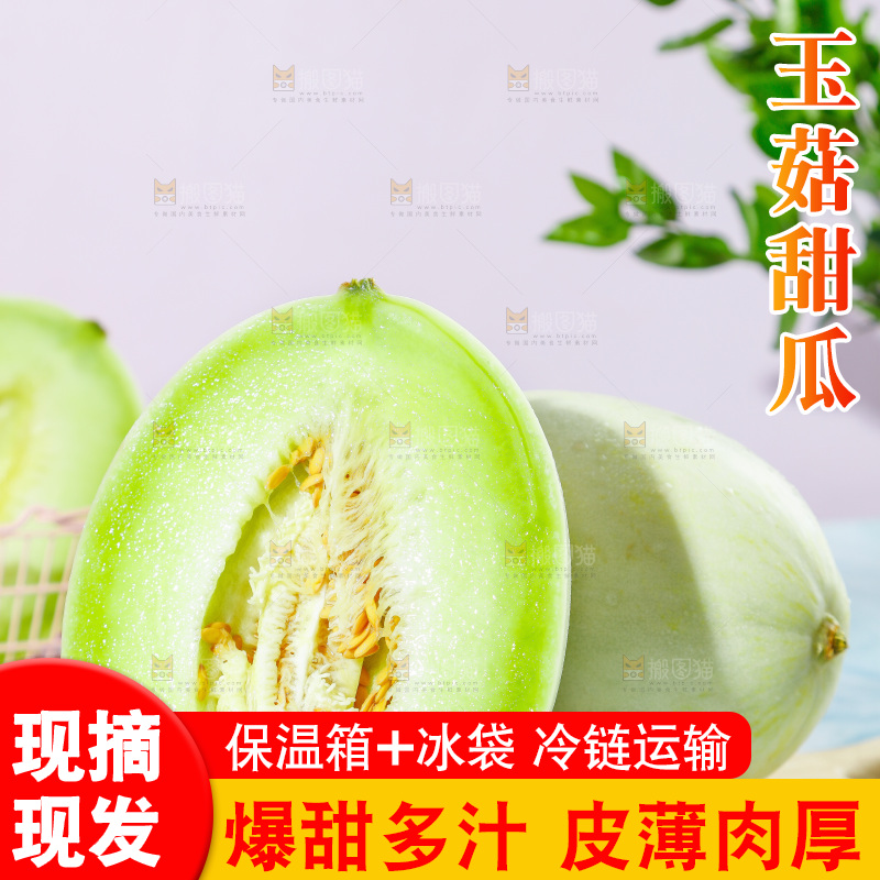 浅底上的玉菇甜瓜