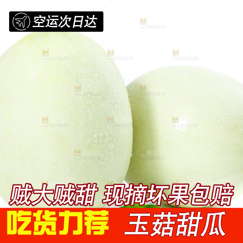 白底上的玉菇甜瓜
